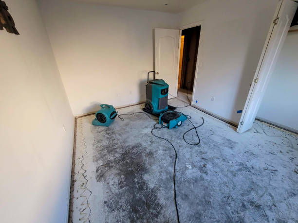 Best Sewage cleanup and water damage restoration  in Dale City, VA
