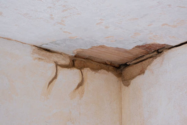 Best Fire Damage Restoration  in Dale City, VA