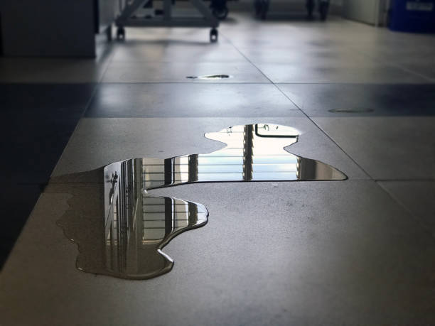 Best Water damage cleanup near me  in Dale City, VA