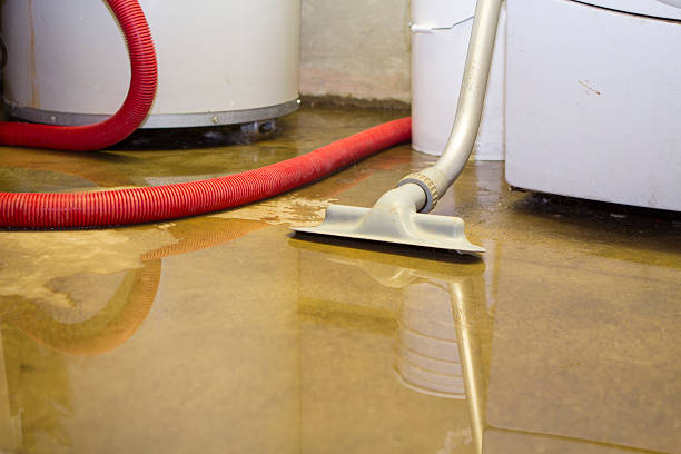 Dale City, VA Water damage restoration Company