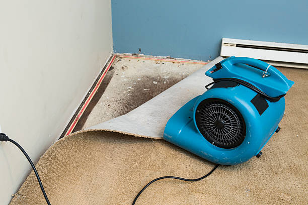 Water damage restoration mold remediation in Dale City, VA